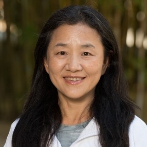 Hongjuan Zhao, PhD
